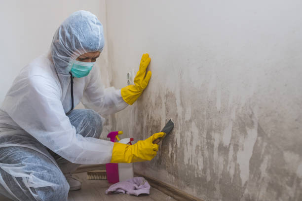 Mold Remediation for Rental Properties in Thorndale, TX