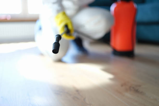 Best Air Quality Testing for Mold Spores  in Thorndale, TX